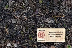 A wooden sign on dark mulch displays the Certified B Corporation logo and mission statement.