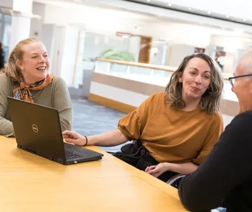 Leveraging Cyber Triage