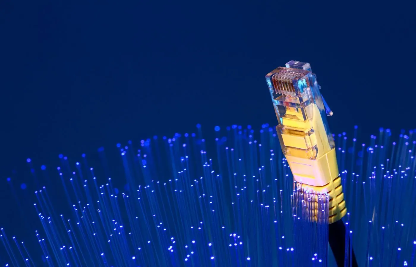 An Ethernet cable connector surrounded by glowing blue fiber optic strands.